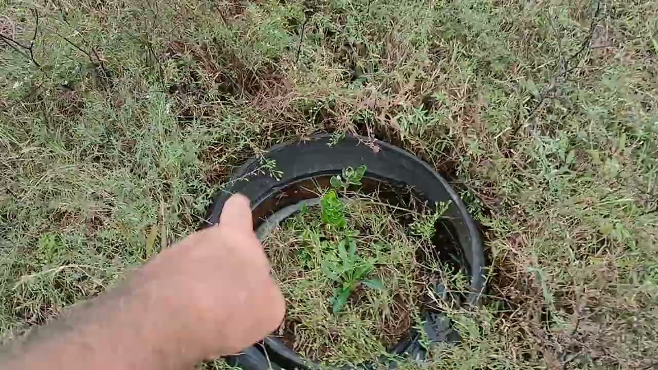 Beneficial brush piles vs burning to Charcoal. 