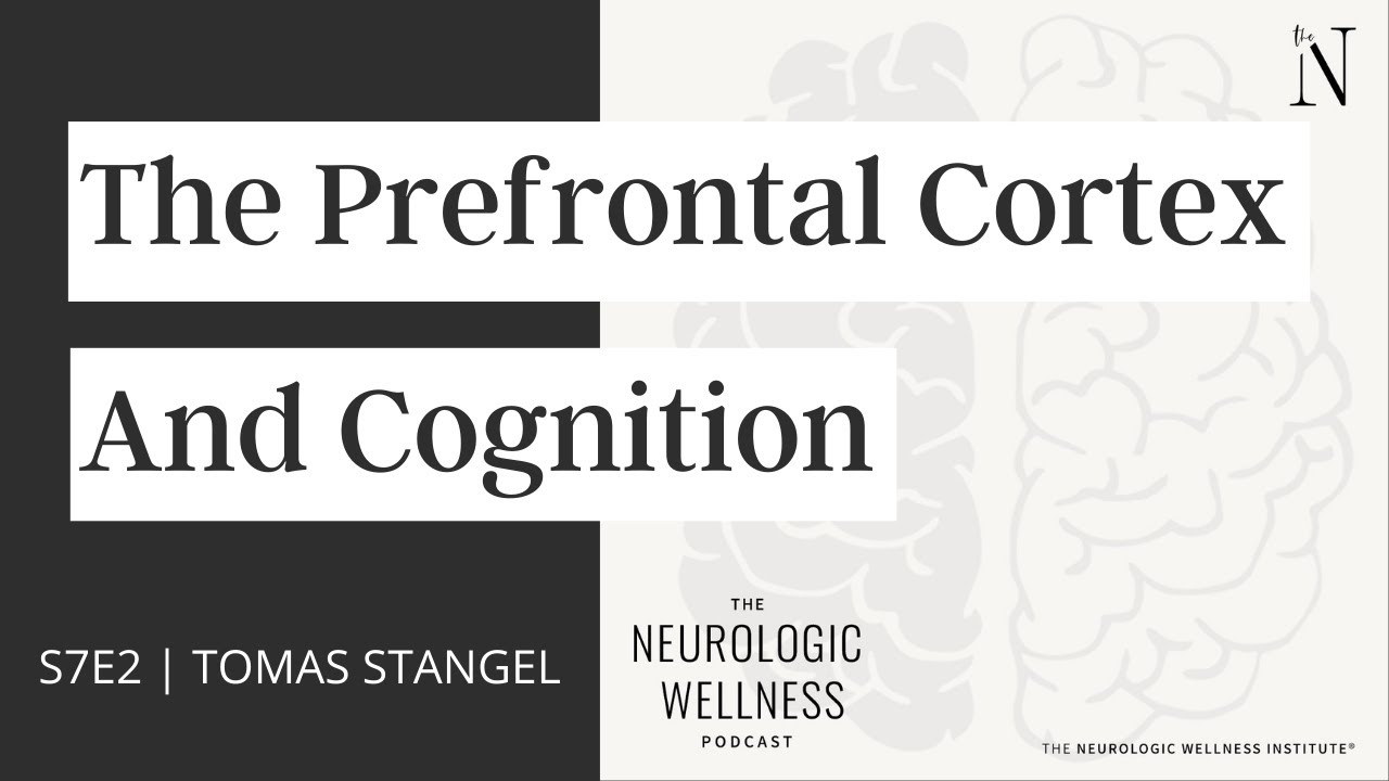 The Prefrontal Cortex and Cognition