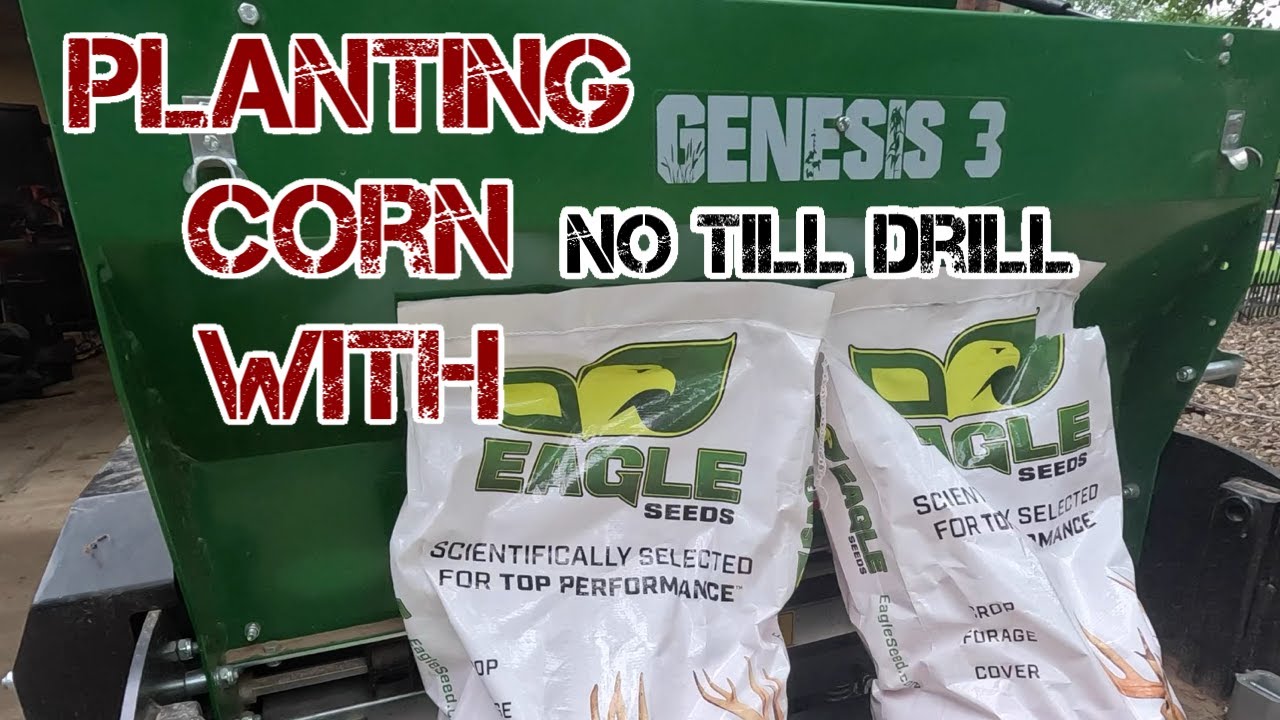 Planting corn with the Genisis No Till Drill