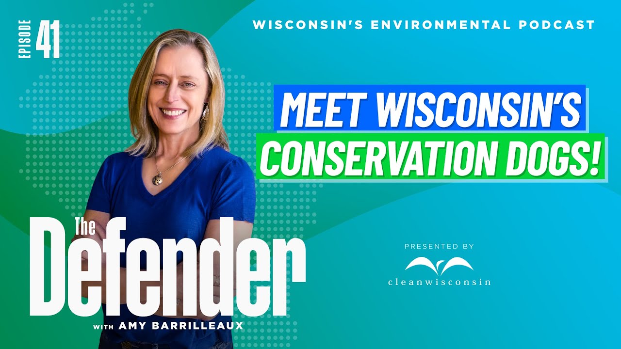 Meet Wisconsin's Conservation Dogs!
