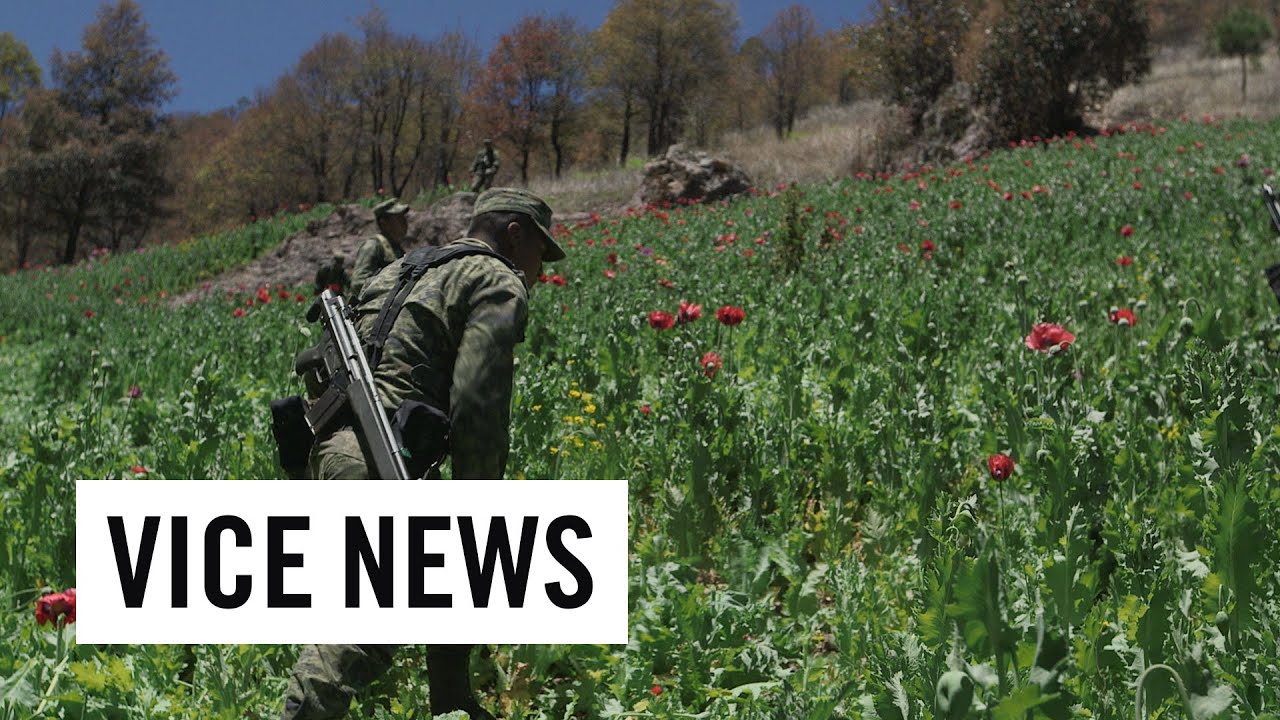 La Ruta de la Amapola / Hero&iacute;na Mexicana | VICE News presenta | Ep.13