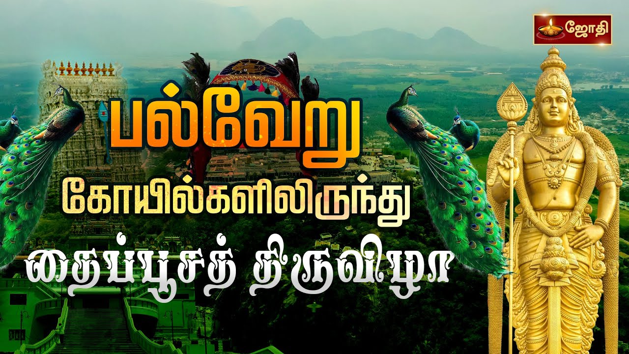 பல்வேறு கோயில்களிருந்து தைப்பூசத் திருவிழா | Thaipusam festival