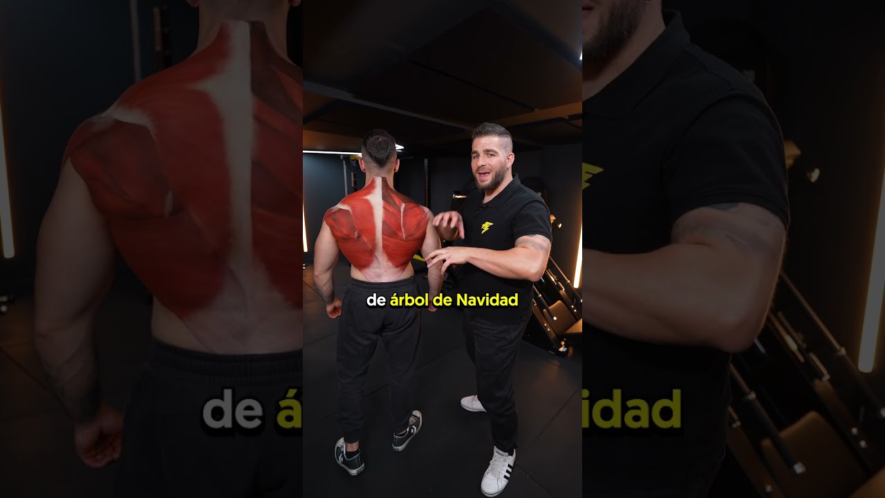 Espalda grande y est&eacute;tica - MEJORES EJERCICIOS 🥇