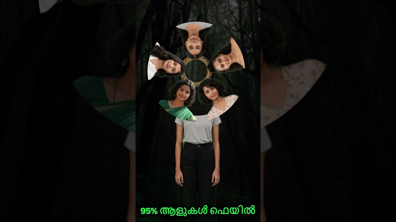 #jaidmeel