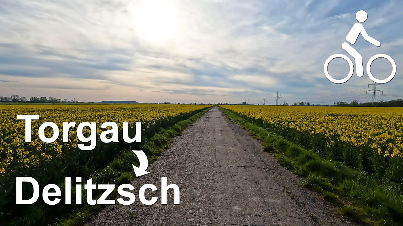 Radtour von Torgau nach Delitzsch durch das Presseler Heidewald- und Moorgebiet | 4K