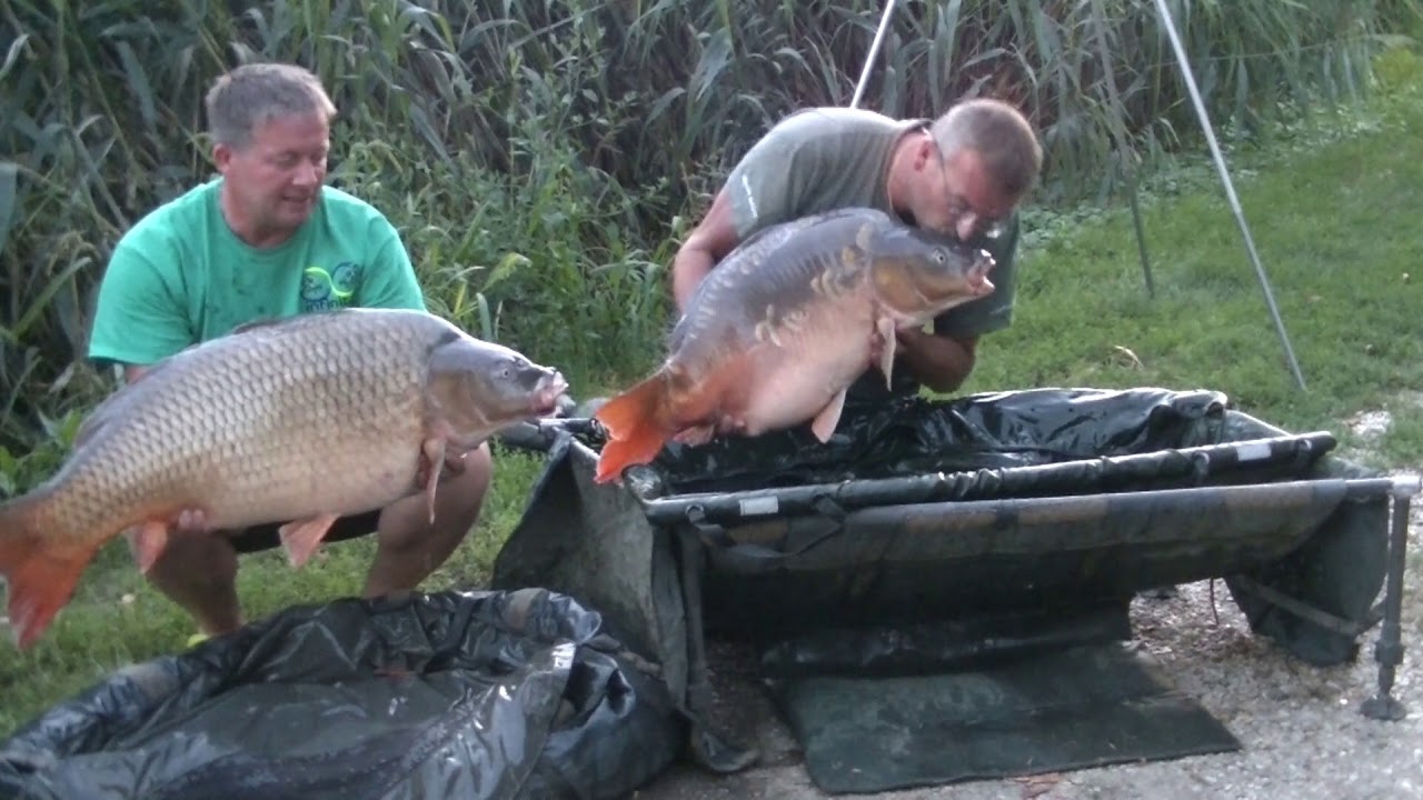 SCHLOTTI CARP Best of 2017 Teil 1