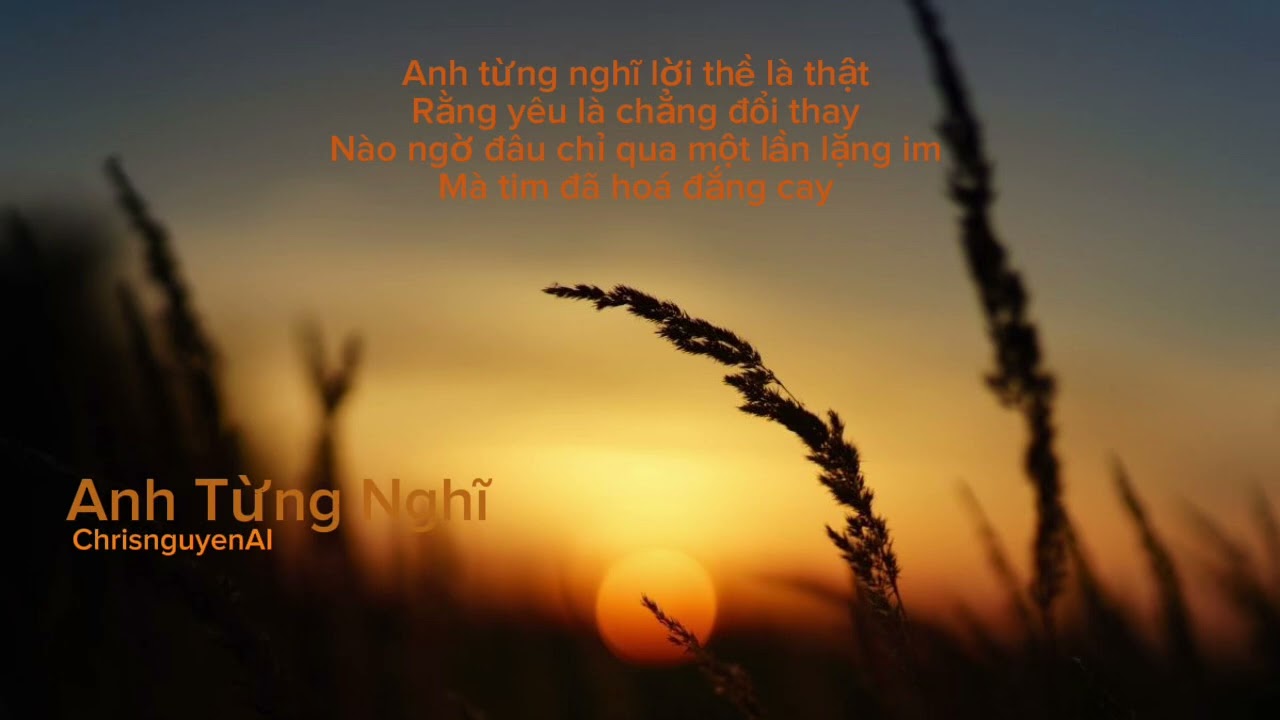 Anh Từng Nghĩ