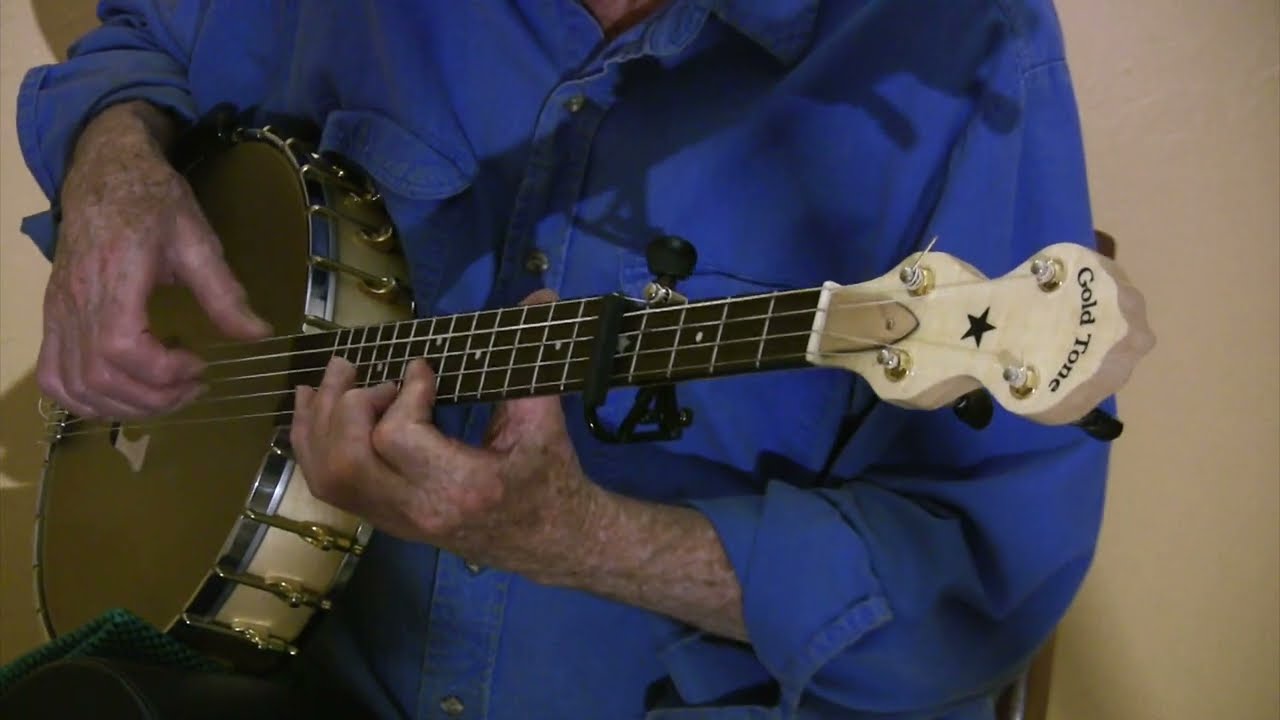 Gold Tone CC-Carlin12 as Cello Banjo 