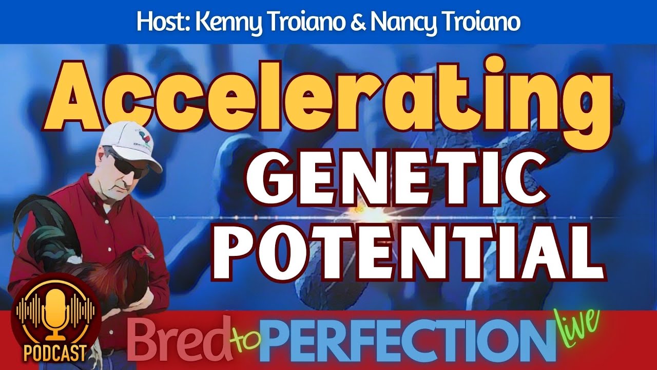 Ep209 - Improving Genetic Potential - Understanding the Factors That Drive Genetic Improvement