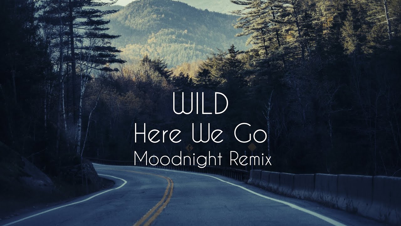WILD - Here We Go (Moodnight Remix)