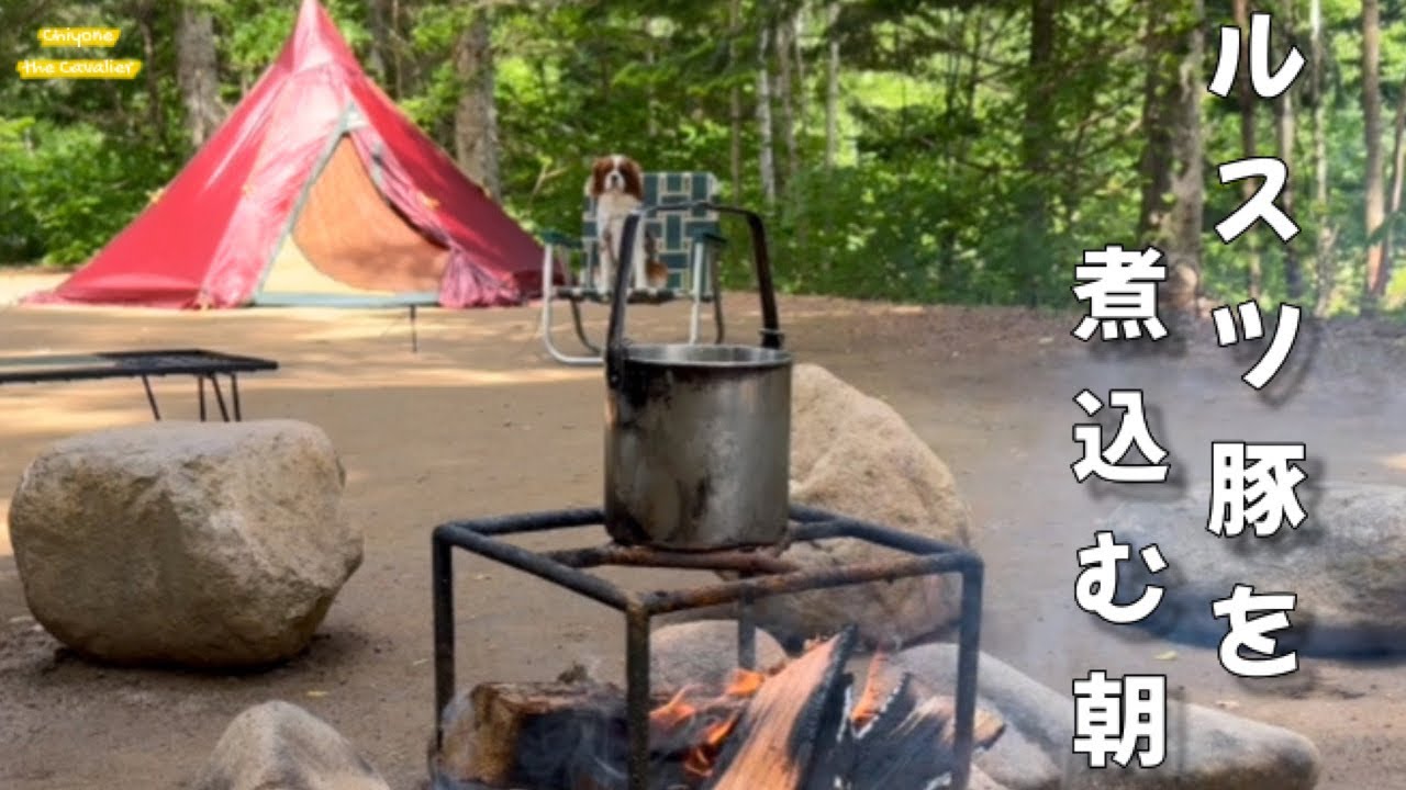 白米大好きちよねさん、らんこし米を食らい、ルスツ豚と寿都の牡蠣を味わう【春の犬連れキャンプ旅 2025】Day2_ニセコサヒナキャンプ場 / 犬が楽しい北海道旅行とドライブ