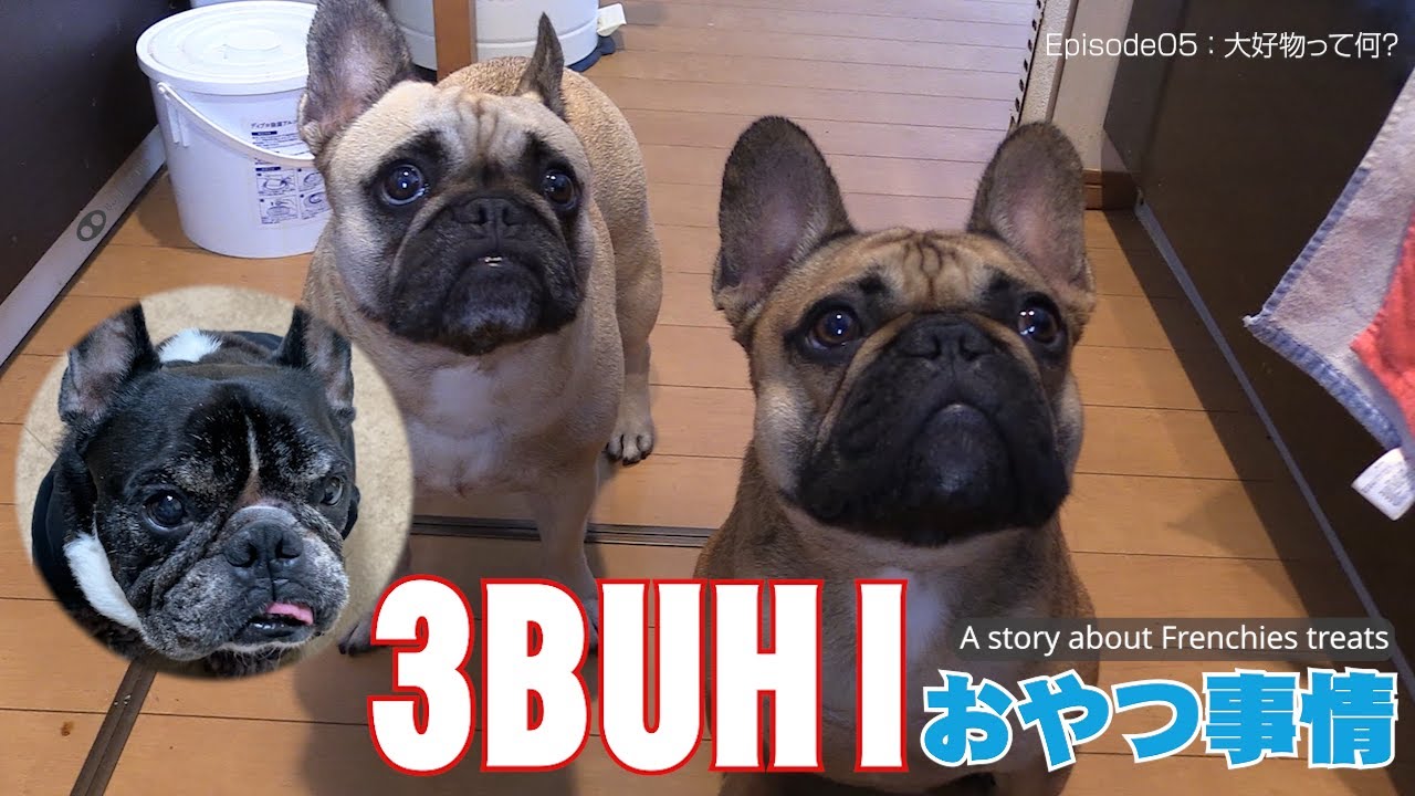 Episode05「大好物って何？」