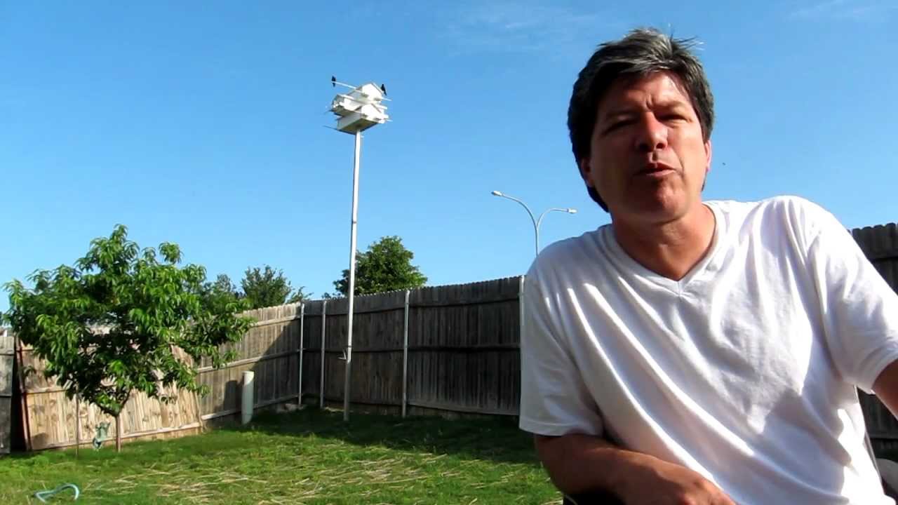 Successful Setup and Maintenance of Purple Martin Houses