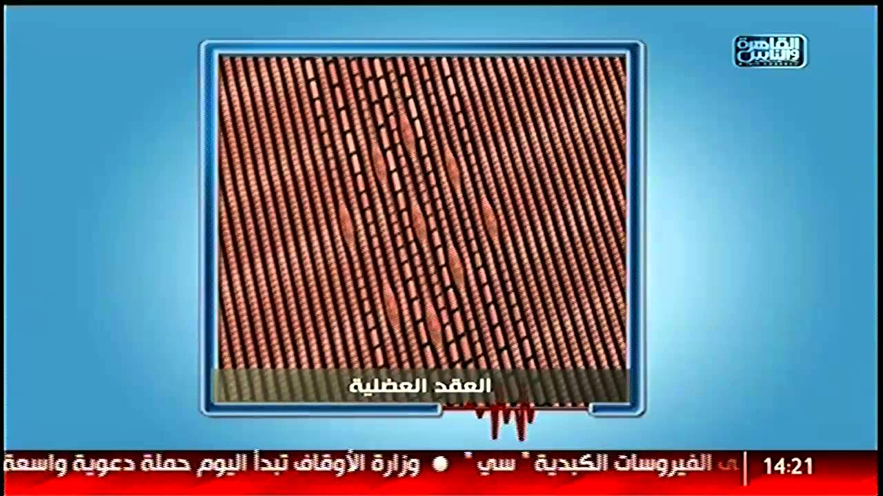 #القاهرة_والناس | الجديد فى علاج العقد العضلية .. وعرق النسا  مع  د/ايمن عنب  فى #الدكتور