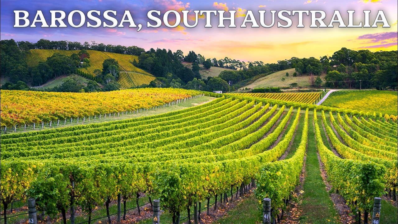 Barossa vs. McLaren Vale: Which Australian Wine Region Wins?