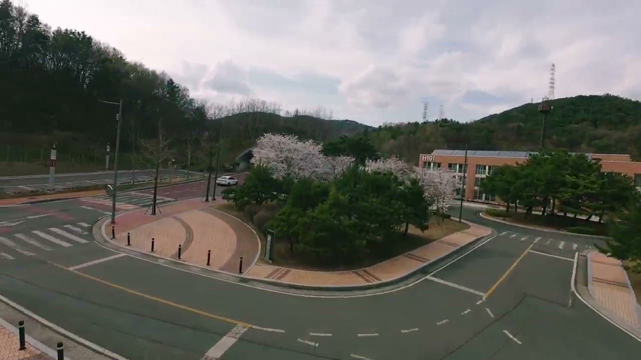 Testing DJI O4 Air Unit Pro as a cinematic workhorse