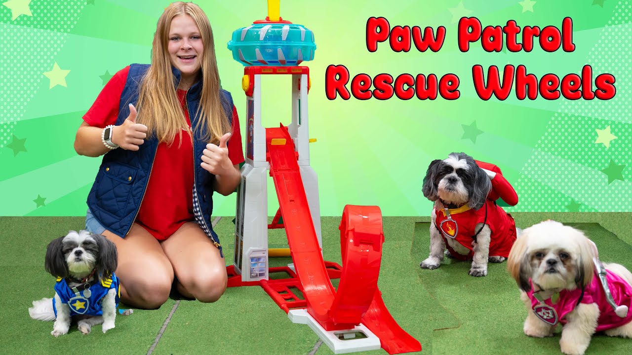 Assistant Finds the Paw Patrol Rescue Wheels with Dogs Wiggles and Waggles