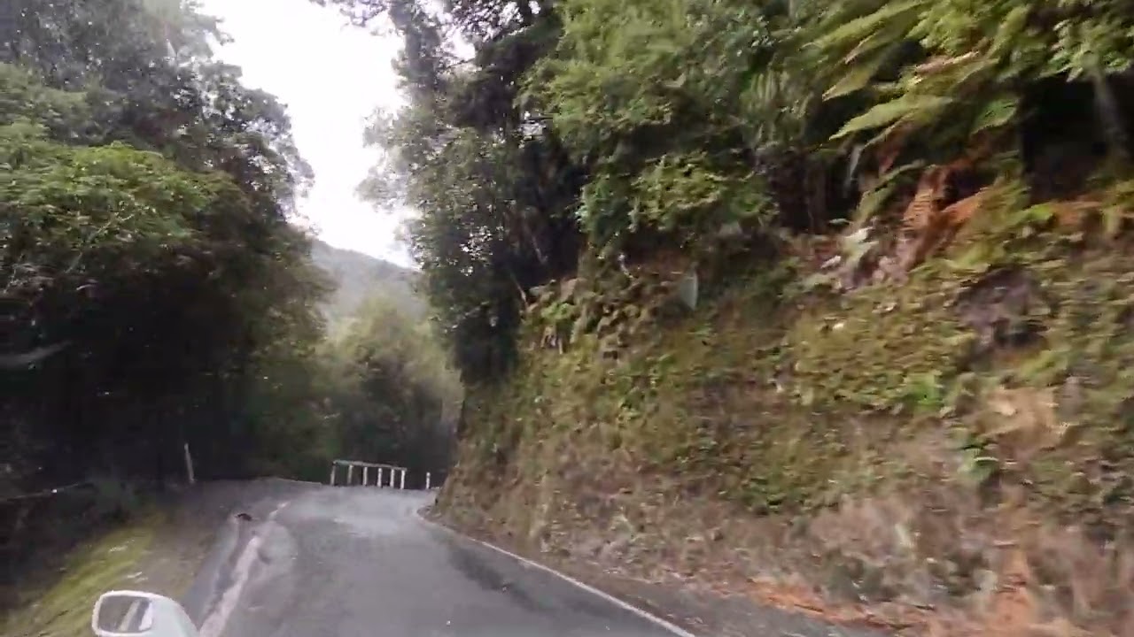 Forest Drive 78 - Akatarawa Road Rambles