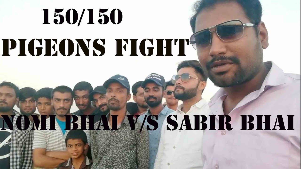 #Pigeons Fight Nomi Bhai V/S Sabir Bhai phool walay. (150/150)
