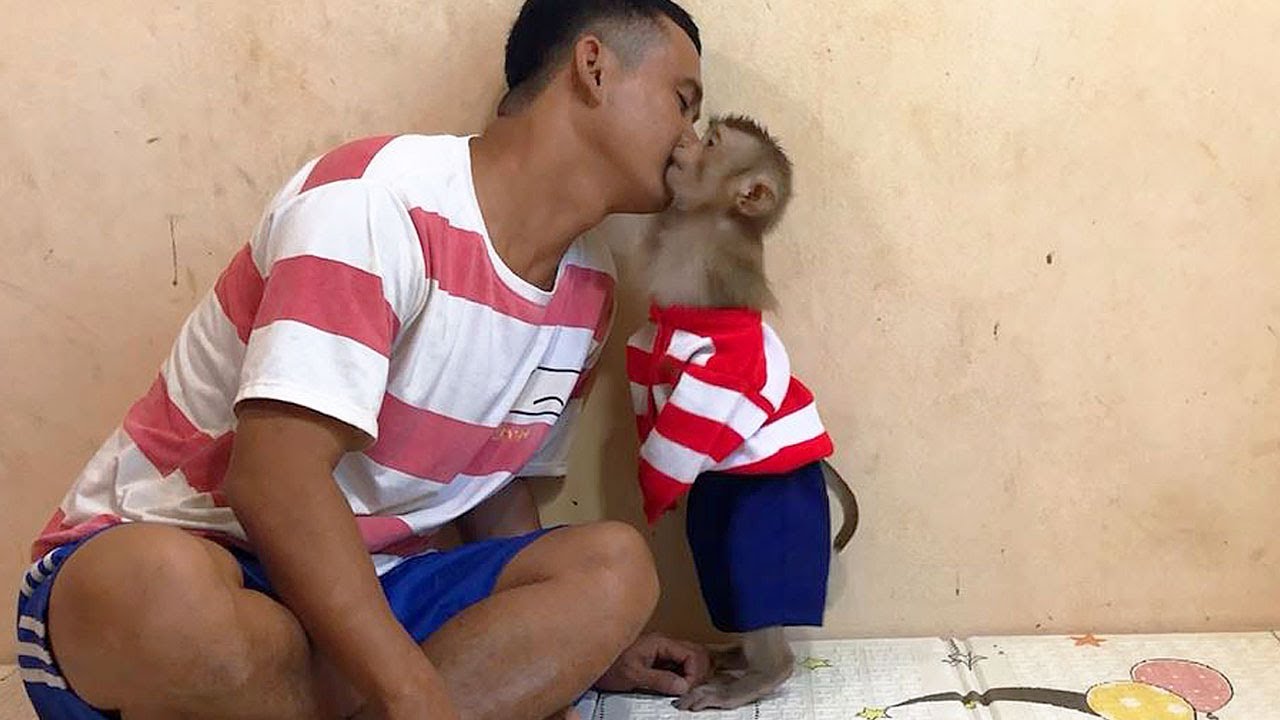 Smart Jason Humble Attitude Shy Kissing Thank Dad For Cute Hairstyles