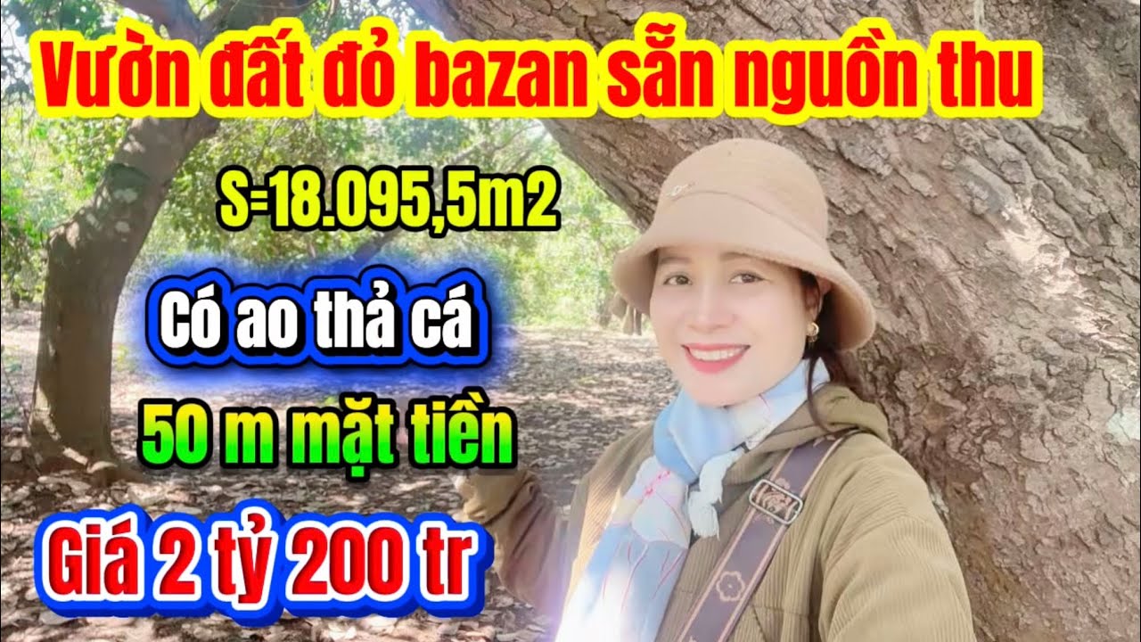 616🌹Vườn đất đỏ bazan sẵn nguồn thu có ao thả cả rất thích hợp trồng cây ăn trái 
