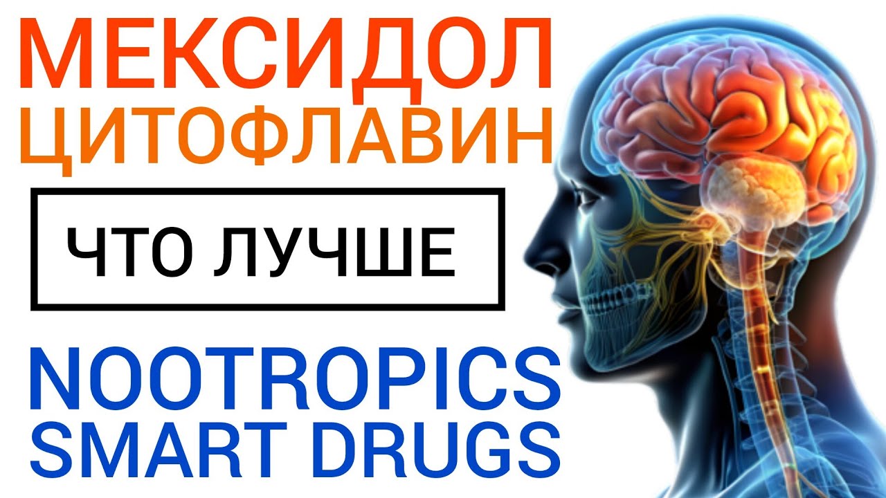 CYTOFLAVIN vs MEXIDOL - Nootropics ( Smart Drugs or Cognitive Enhancers ) What to Know
