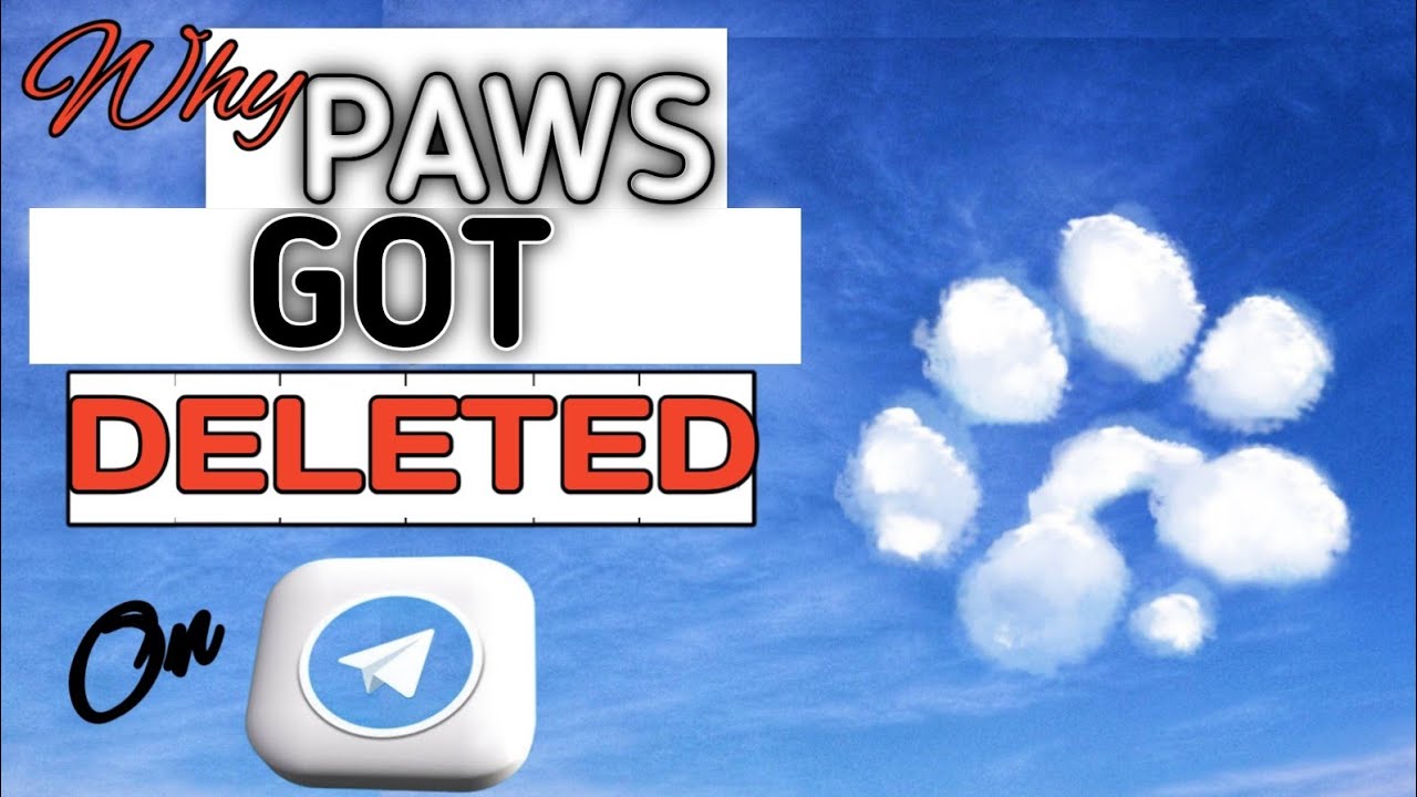 Why PAWS Got Deleted from Telegram || Are Coins Safe? How to Recover Your Account