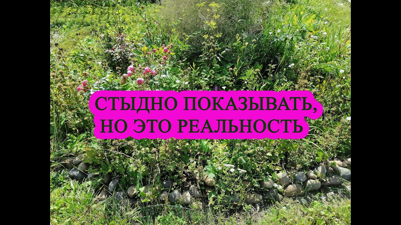 Стыдно показывать, но это реальность