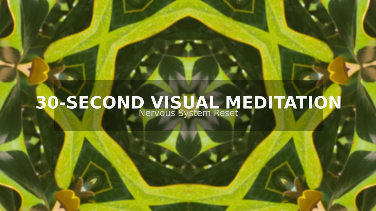 Pause the Scroll: 30 Seconds of Instant Calm 🌳