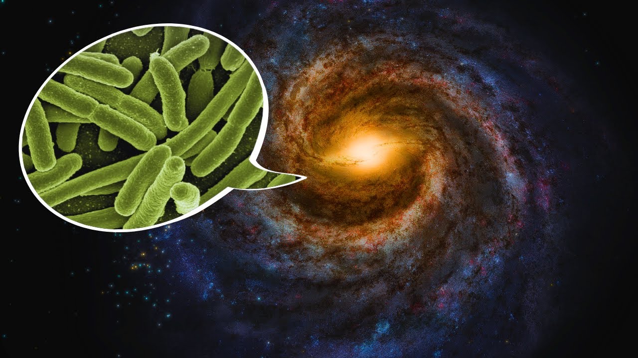Procurando vida em Andrômeda (SpaceEngine)