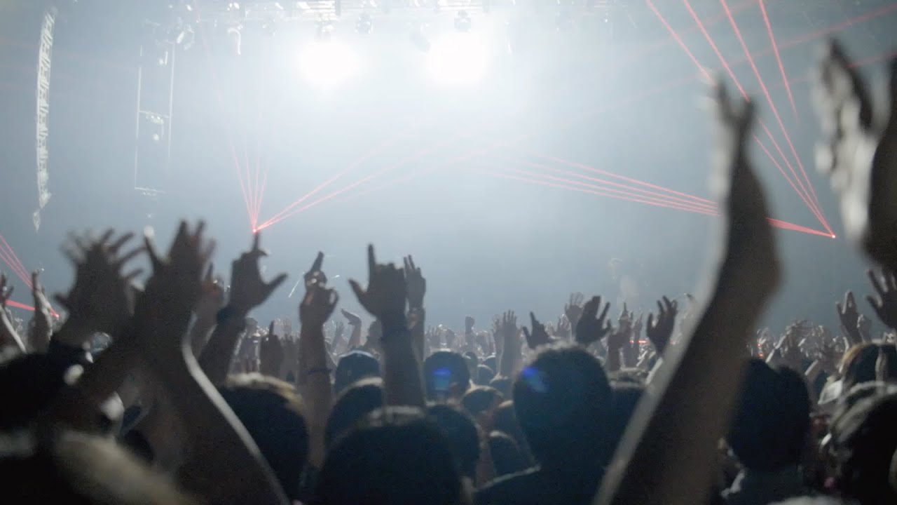 RADWIMPS - なんちって [Official Live Video from 