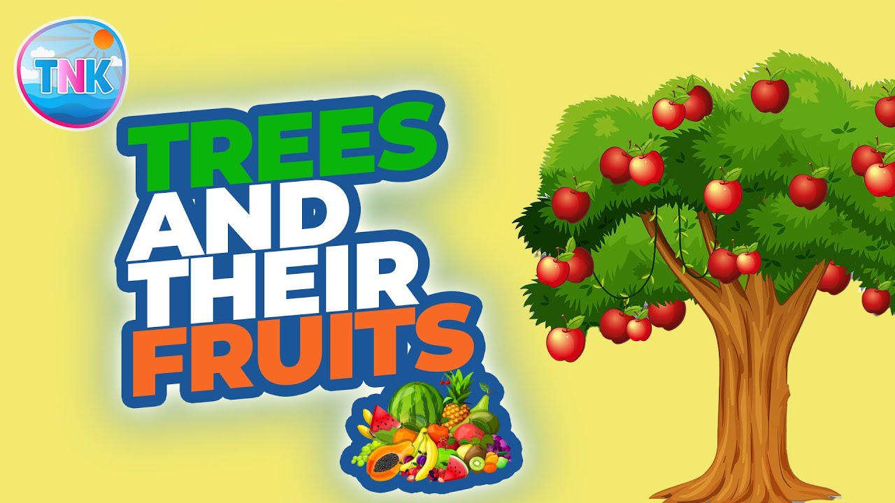 Trees and Their Fruits | Kids' Video |Topnotch Kids