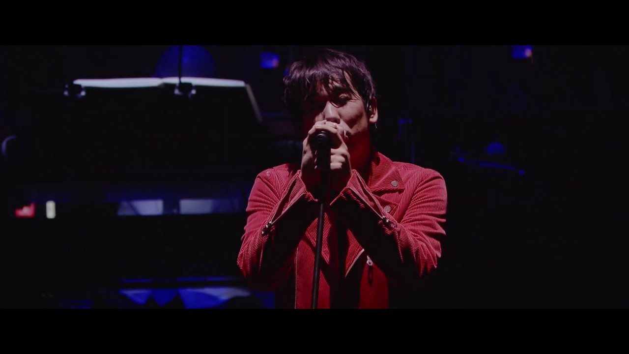 スキマスイッチ / 未来花 for Anniversary from 15th Anniversary Special at YOKOHAMA ARENA ～Reversible～ THE MOVIE