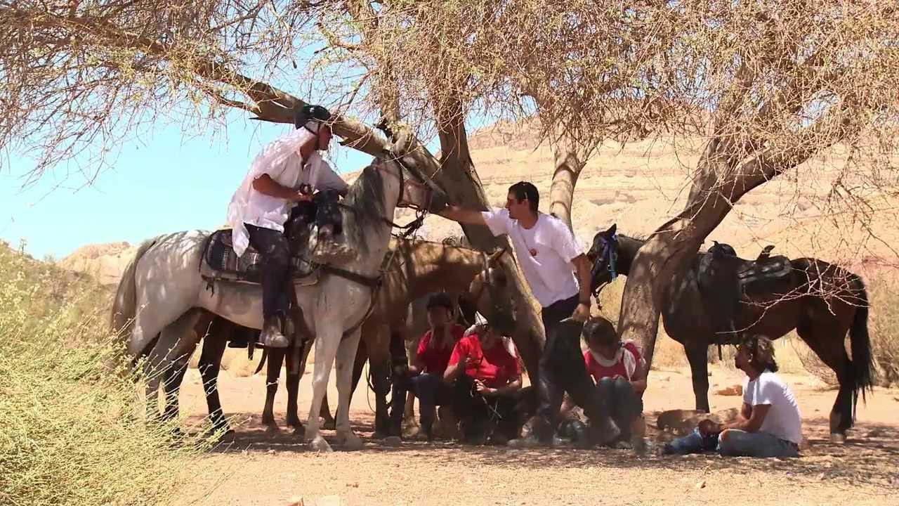 רכיבת אינדורנס בחוות האלפקות