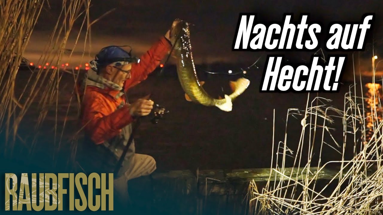 Nachts gezielt auf Großhecht - die Druckwelle ist entscheidend!