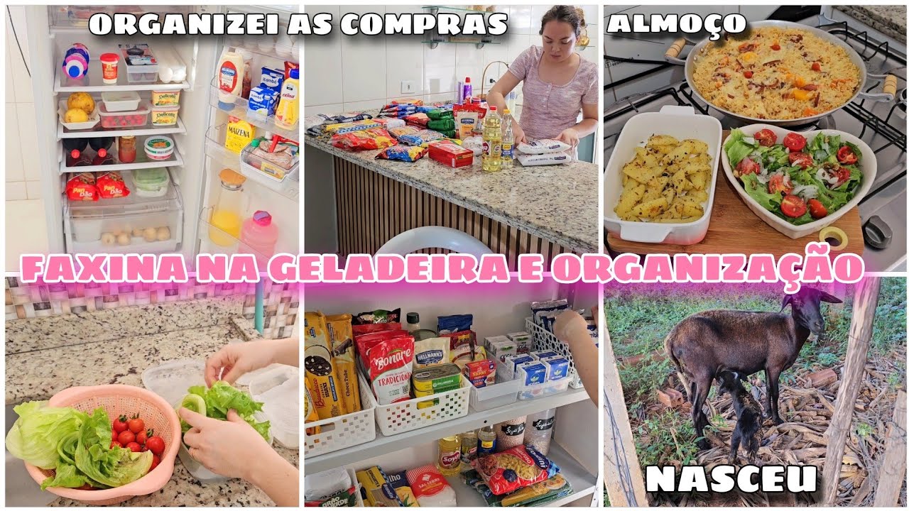 ORGANIZAÇÃO DAS COMPRAS DO MÊS | ALMOÇO E FAXINA NA GELADEIRA
