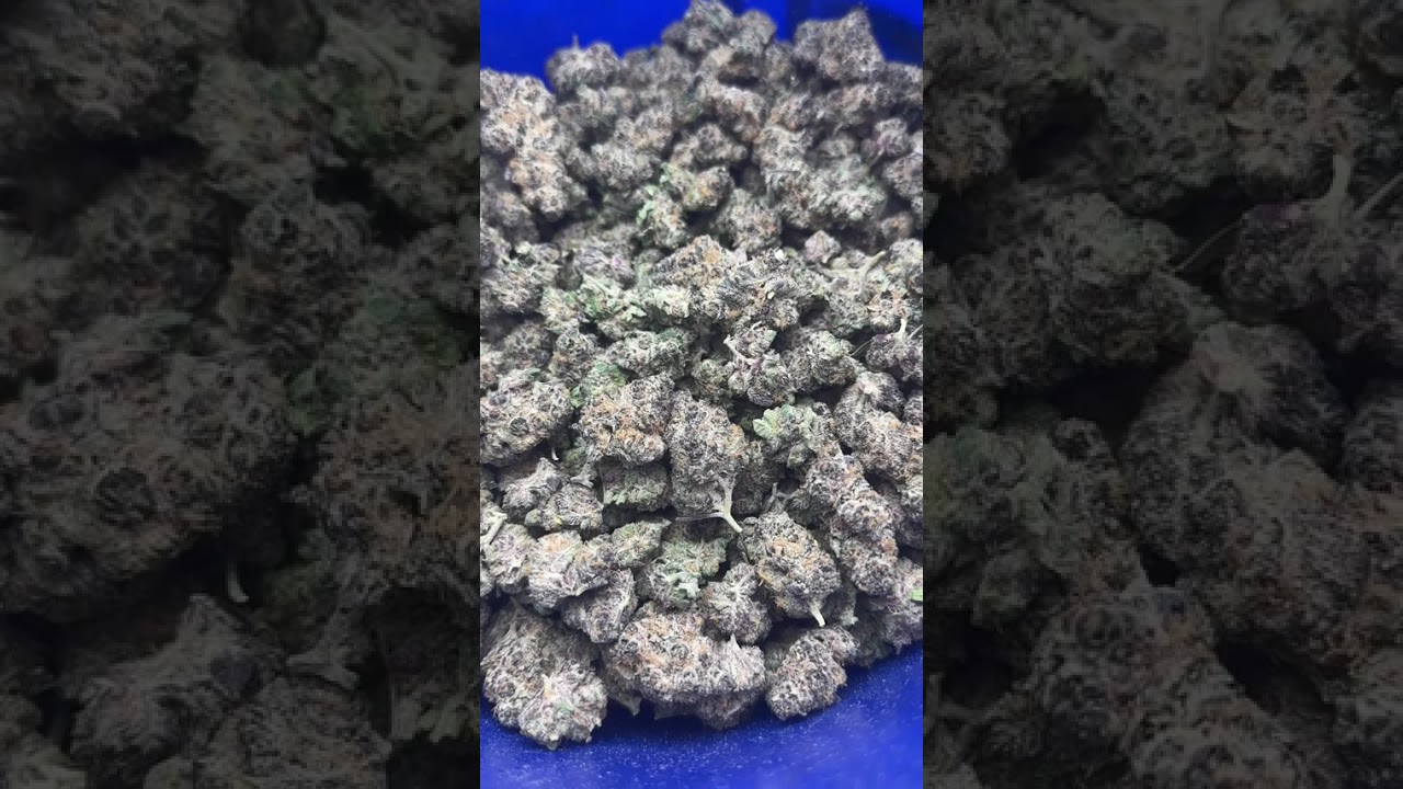 Is this what good legal marijuana looks like?