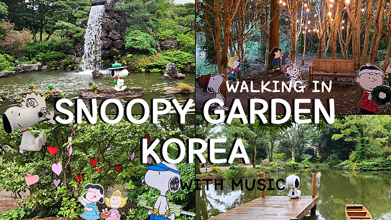 Korea travel 4K Walking in Snoopy Garden Jeju, Korea