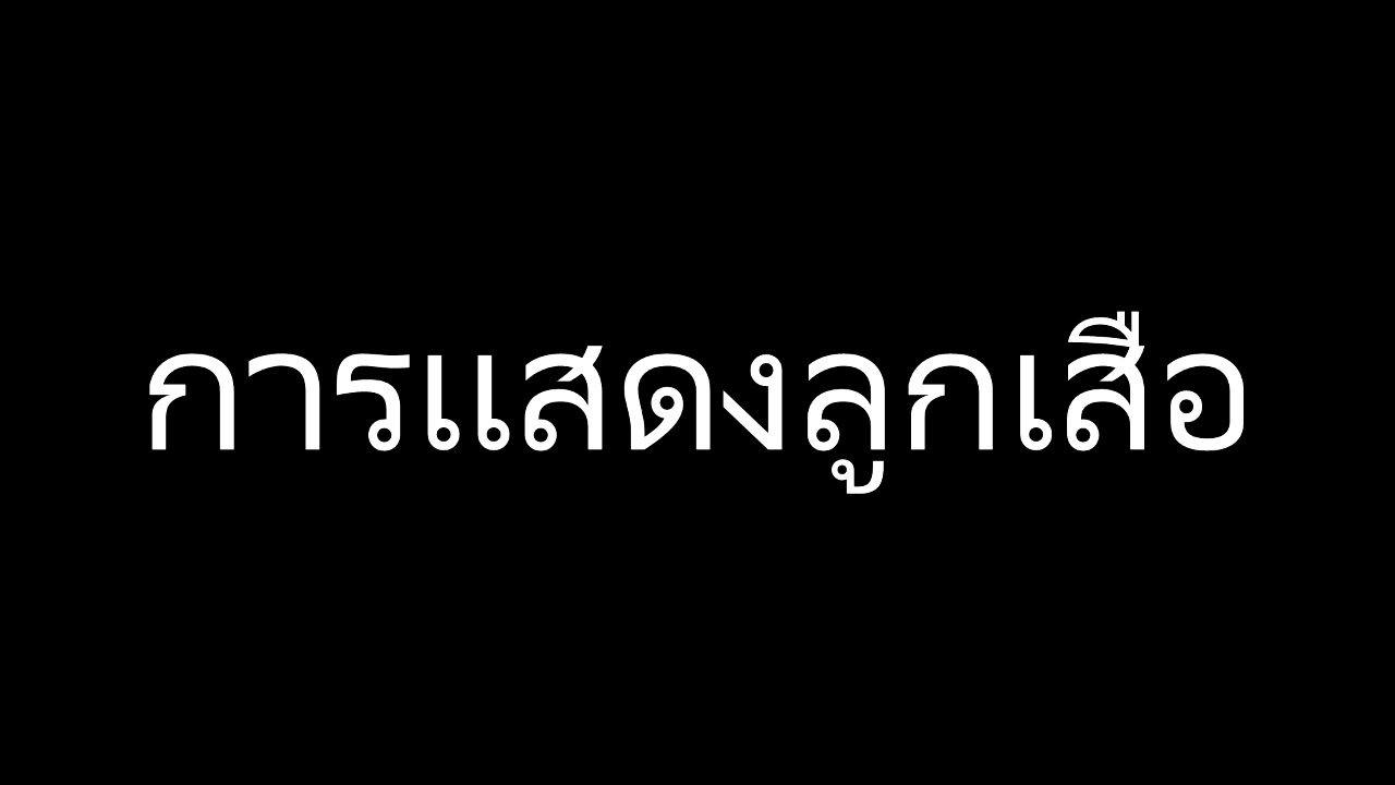การเเสดงลูกเสือ