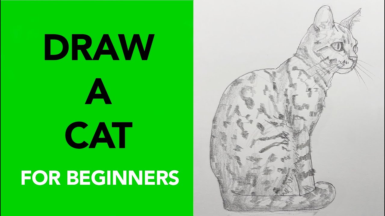 How to Draw a Cat (Easy, Beginner-Friendly Tutorial)