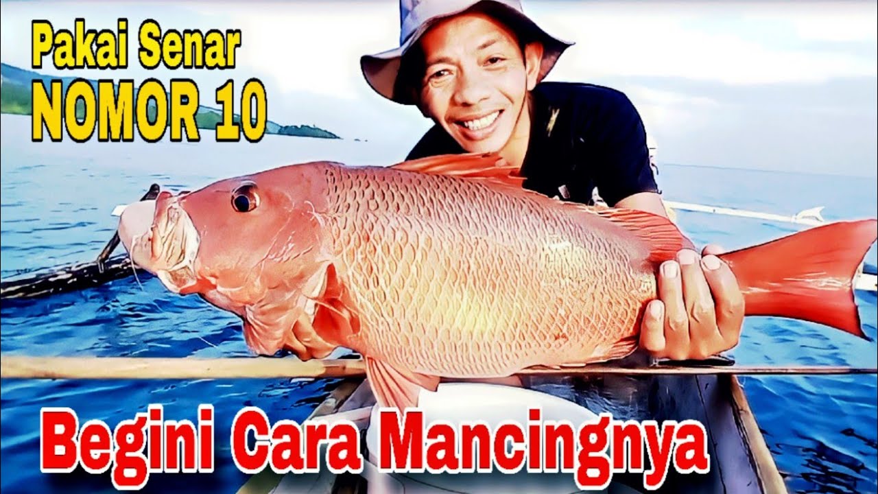 Ikan Besar Ini Ditarik Hanya Pakai Senar Kecil..