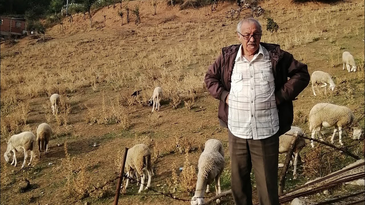 Acimi d mmi s ig caben ɣaf babas(pourquoi ce fils paraît plus vieux que son père ?)