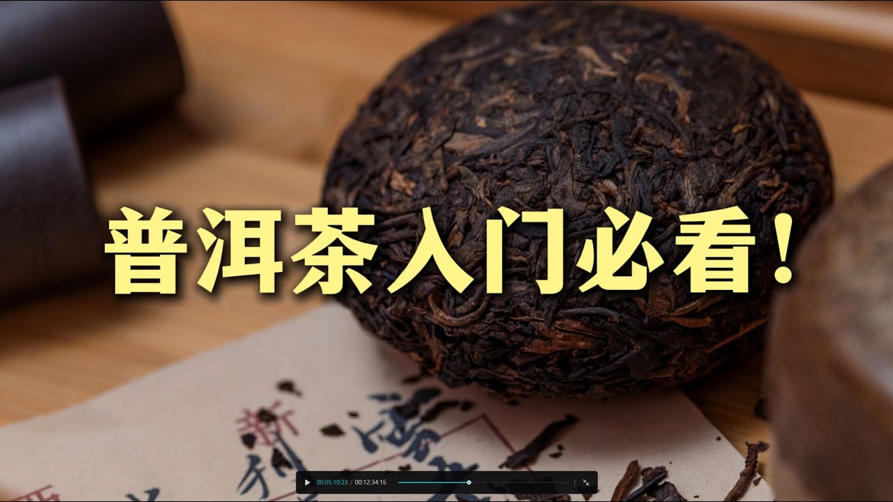 普洱茶是什么？怎么喝？12分钟全部搞明白！看完必会！