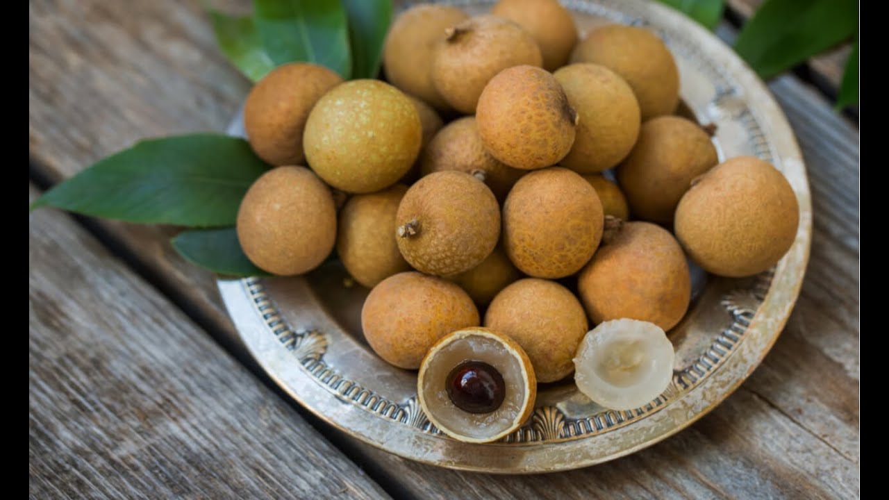 ಜನಪ್ರಿಯತೆ ಹಾದಿಯಲ್ಲಿರುವ ವಿದೇಶಿ ಹಣ್ಣು ಲಾಂಗನ್ - ಡಾ. ಎಸ್. ವಿ. ಹಿತ್ತಲಮನಿ | Longon Fruit