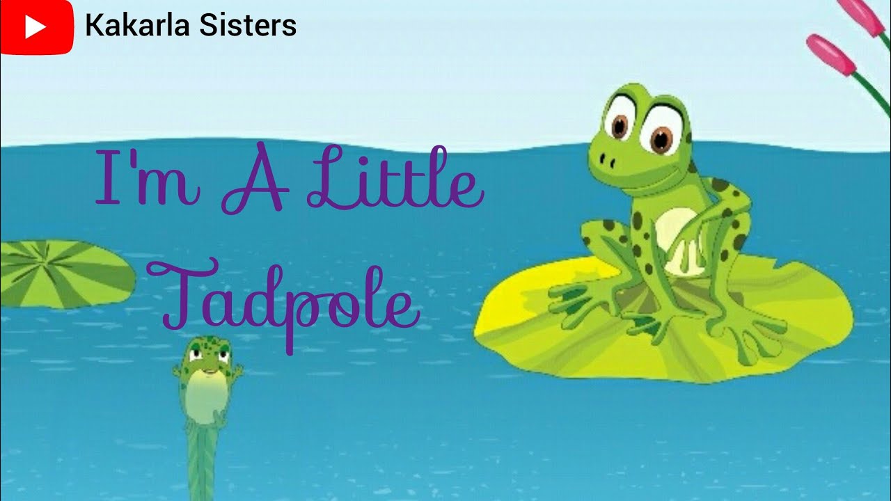 I'm A Little Tadpole Rhyme |Nursery Rhymes |Action Songs/Rhymes |Pre Primary Rhymes |Kakarla Sisters