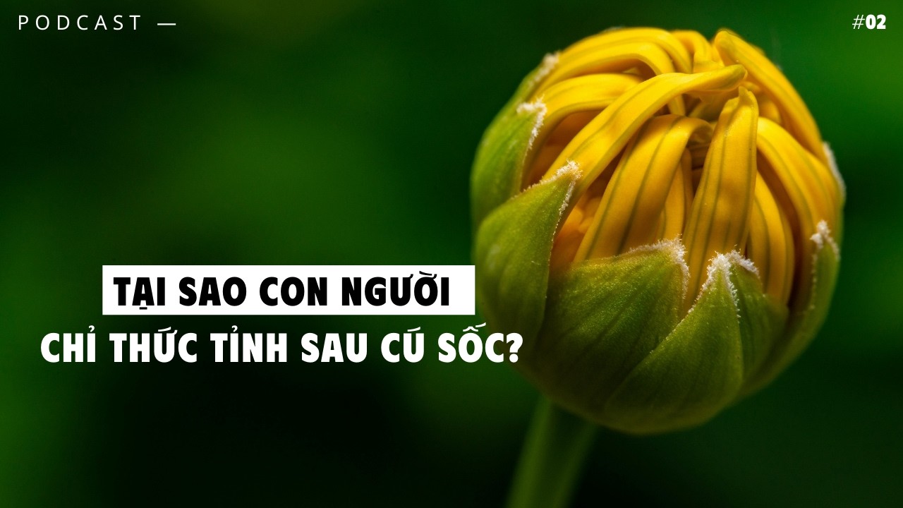 Không Có Cú Sốc, Không Có Thức Tỉnh | Podcast Thay Đổi Góc Nhìn Cuộc Đời