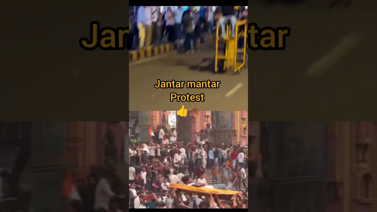 cockroach Janata party🪳#jantarmantar#protest#support#delhi#bihar#up#jantarmantar#reels