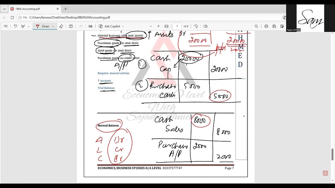Journal entries and Trial Balance