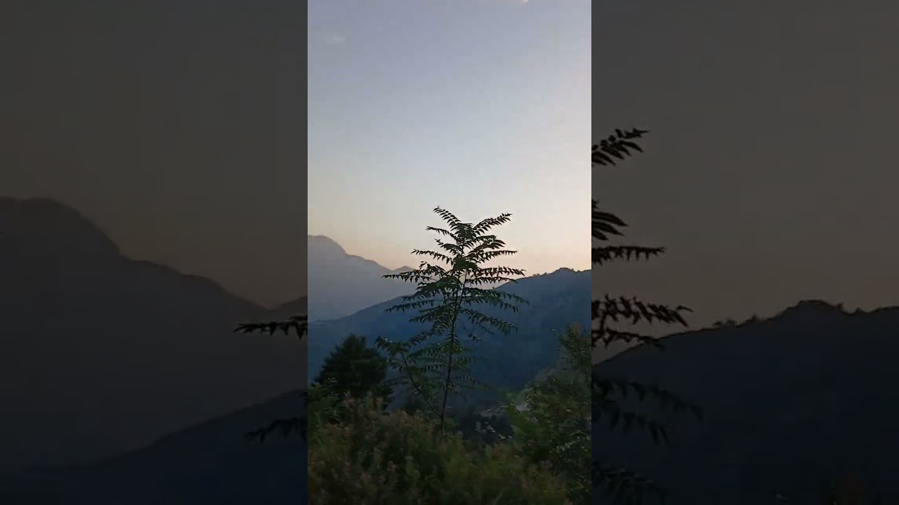 Bayan kari Haneef sab top