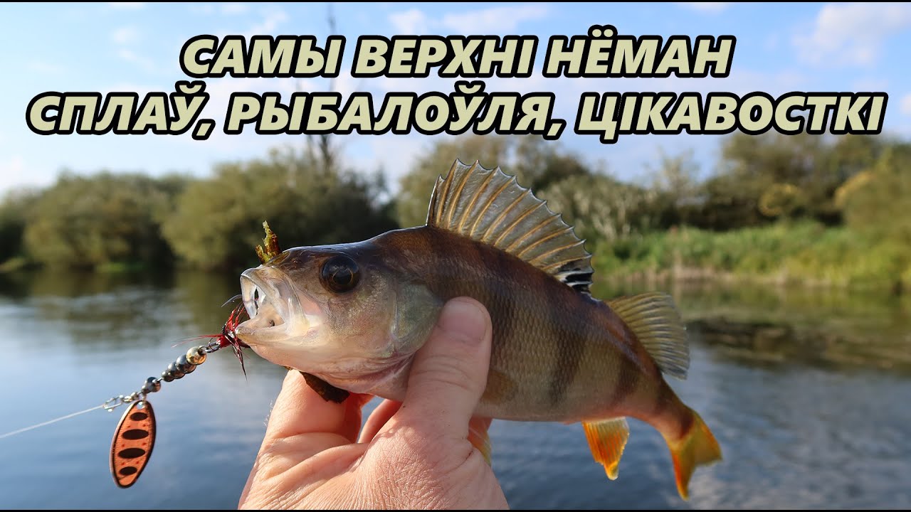Самы верхні Нёман. Сплаў, рыбалка, цікавосткі